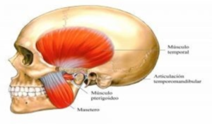 disfunción temporomandibular